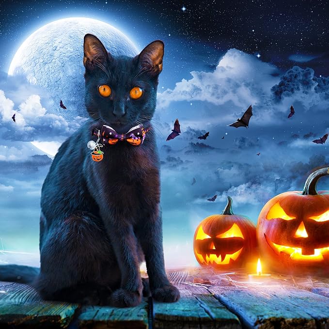 LLHK 4 Pack Halloween Cat Collar - Image 6