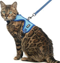PUPTECK Cat Harness and Leash Set Escape Proof, Reflective Adjustable Soft Mesh by PUPTECK