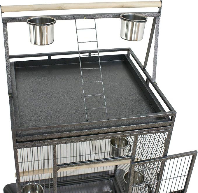 Nova Microdermabrasion 68-Inch Height Wrought Iron Standing Large Play Top Bird - Image 7