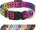 Reflective Dog Collar for Medium Dogs, Cute Leopard Style Adjustable Heavy-Duty by TMOODEL