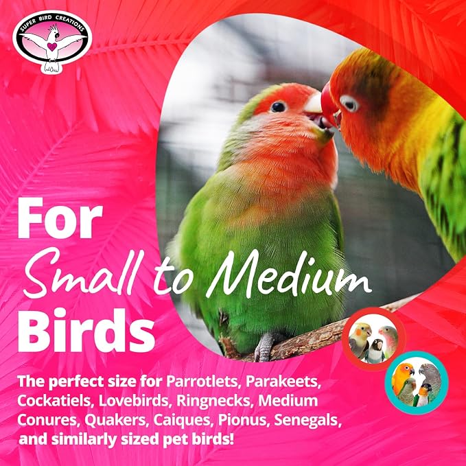 Super Bird Creations Mini Starburst Bird Toy - Image 2