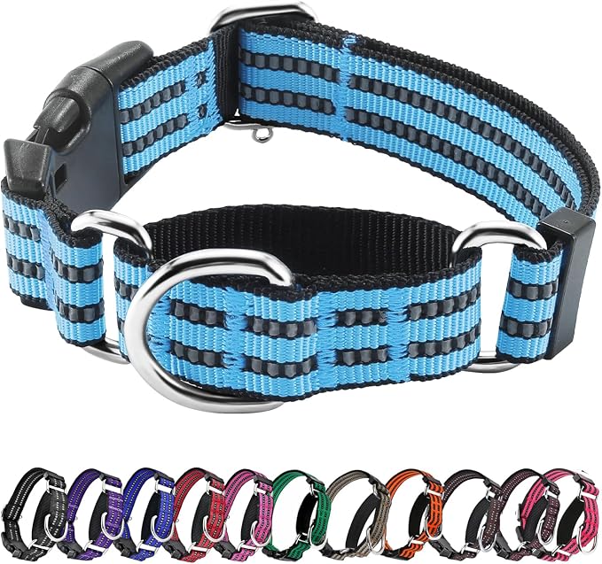 Hikiko Martingale Dog Collars Reflective Nylon Dog Collar by Hikiko