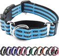 Hikiko Martingale Dog Collars Reflective Nylon Dog Collar by Hikiko
