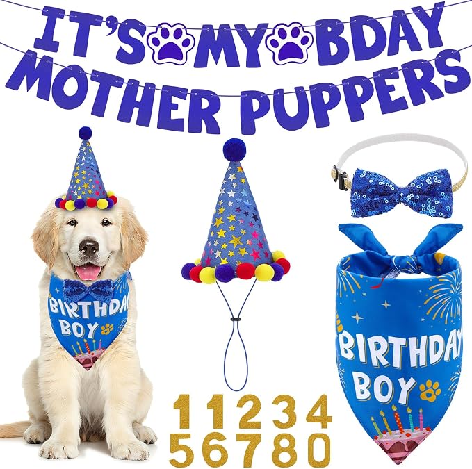 Dog Birthday Decorations, Dog Birthday Hat by Guiqulai