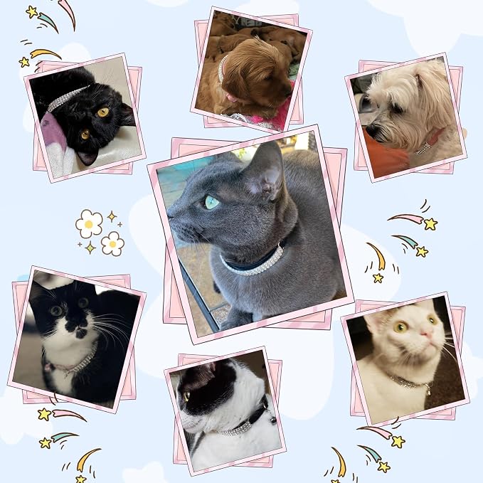 EXPAWLORER Soft Velvet Safe Cat Collars - Image 9