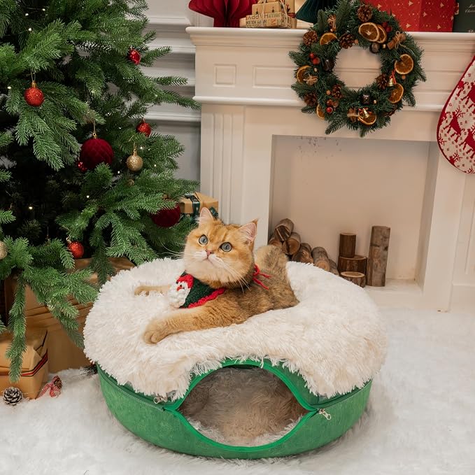 CATTASAURUS Peekaboo Cat Cave for Multiple & Large Cats Up to 30-45 Lbs - Image 3