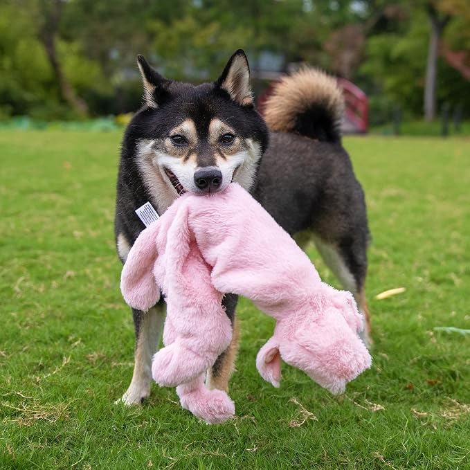 Best Pet Supplies Squeaky Dog Toys - Image 6