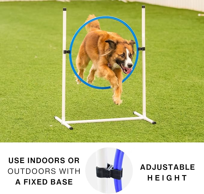 Better Sporting Dogs Agility Course Backyard Set - Image 4