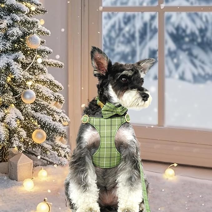 Beirui Cute Small Dog Harness Collar and Leash Set - Image 4
