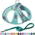 AIITLE Small Harness for Puppy by AIITLE-FORPETSBETTERLIFE