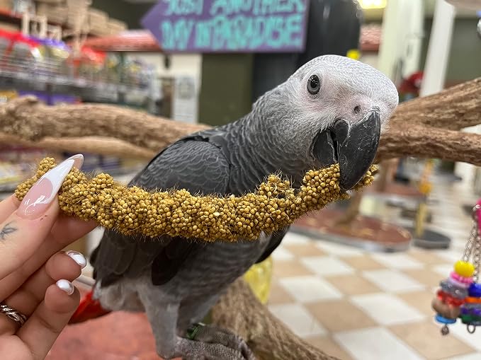 Birds LOVE Economy Special Spray Millet | GMO-Free - Image 6
