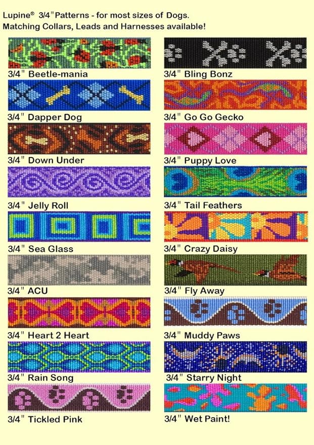 Lupine Small Dog Collar 3/4" Wide Rain Song Adjusts from 9" to 14" - Image 3