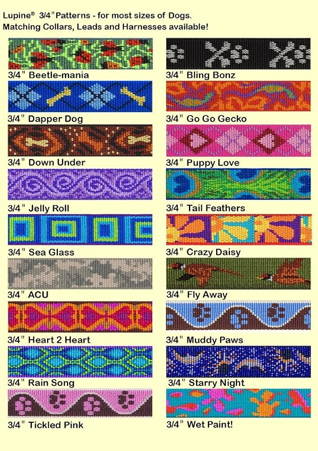 LupinePet Originals 3/4" Sea Glass 9-14" Adjustable Collar - Image 2