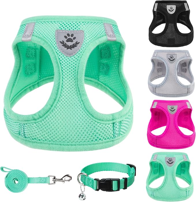 PUPTECK Adjustable Dog Harness Collar and Leash Set Step in No Pull Pet Harness by PUPTECK