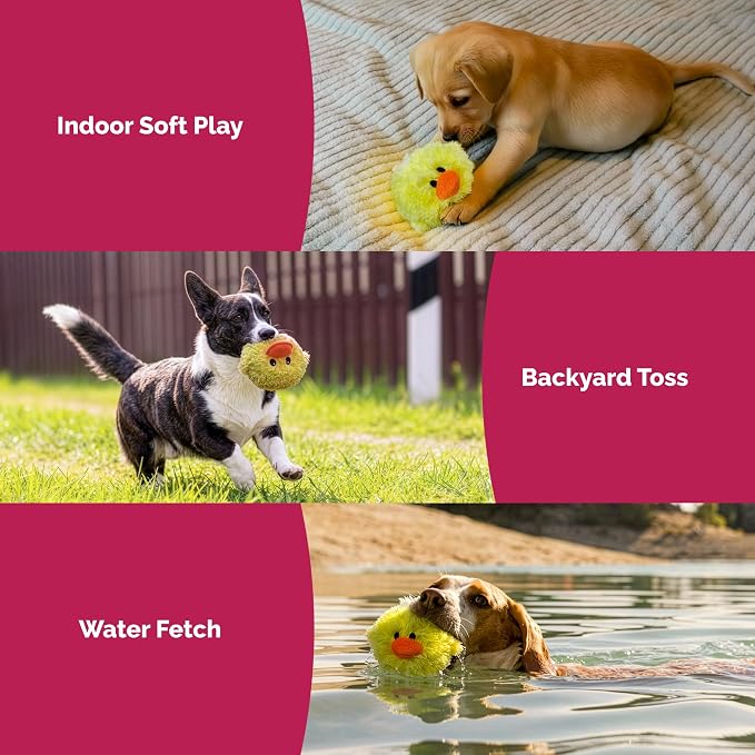 Pet Lou DOG'Z 4 Inch EZ Squeaky Chick Dog Plush Toy, Stuffing-Free Soft Plush - Image 6