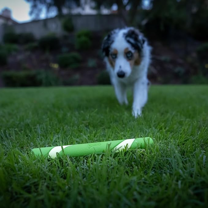 Chuckit! Max Glow Ultra Fetch Stick Outdoor Dog Toy, 12 Inches - Image 5