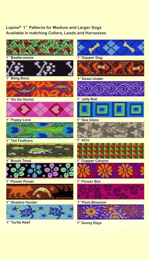LupinePet Originals 1" Jelly Roll 25-31" Adjustable Collar - Image 2