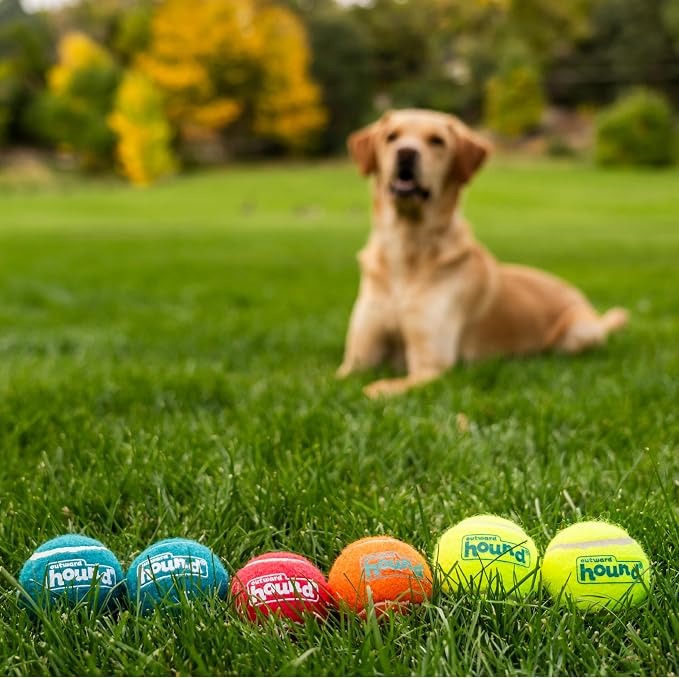 Outward Hound Squeaker Ballz – Squeaky Tennis Balls - Image 5