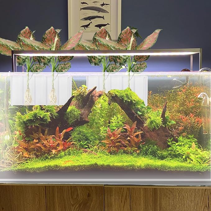 2 PCS Aquarium Plant Holder Top Hanging Fish Tank Plant Pot Aquarium Planter - Image 7