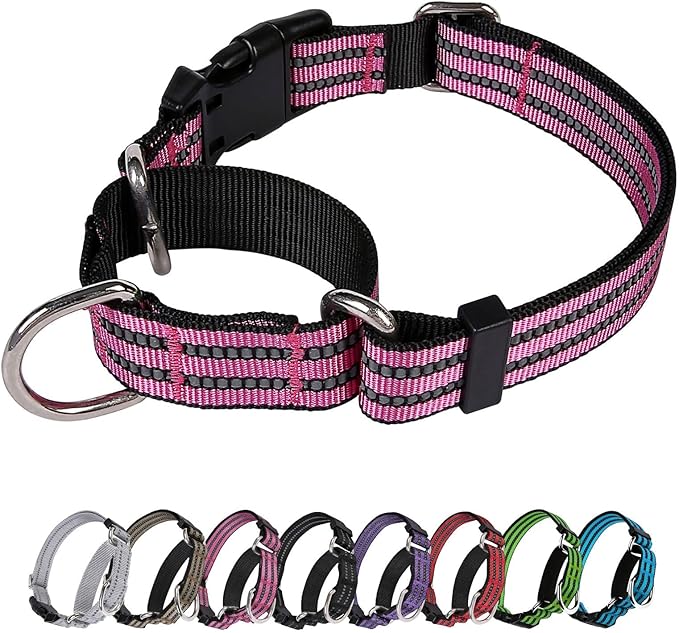 Martingale Dog Collar, Adjustable Nylon Reflective Collar by JOYEEIIOO