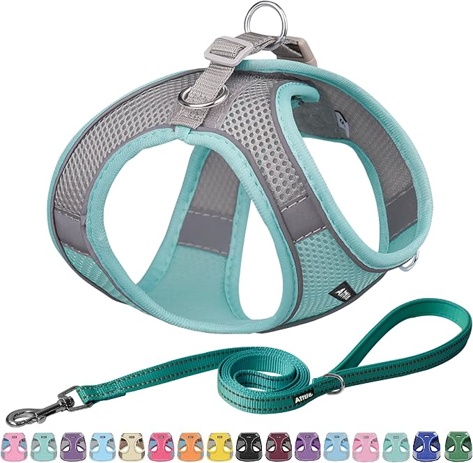 AIITLE Small Harness for Puppy by AIITLE-FORPETSBETTERLIFE