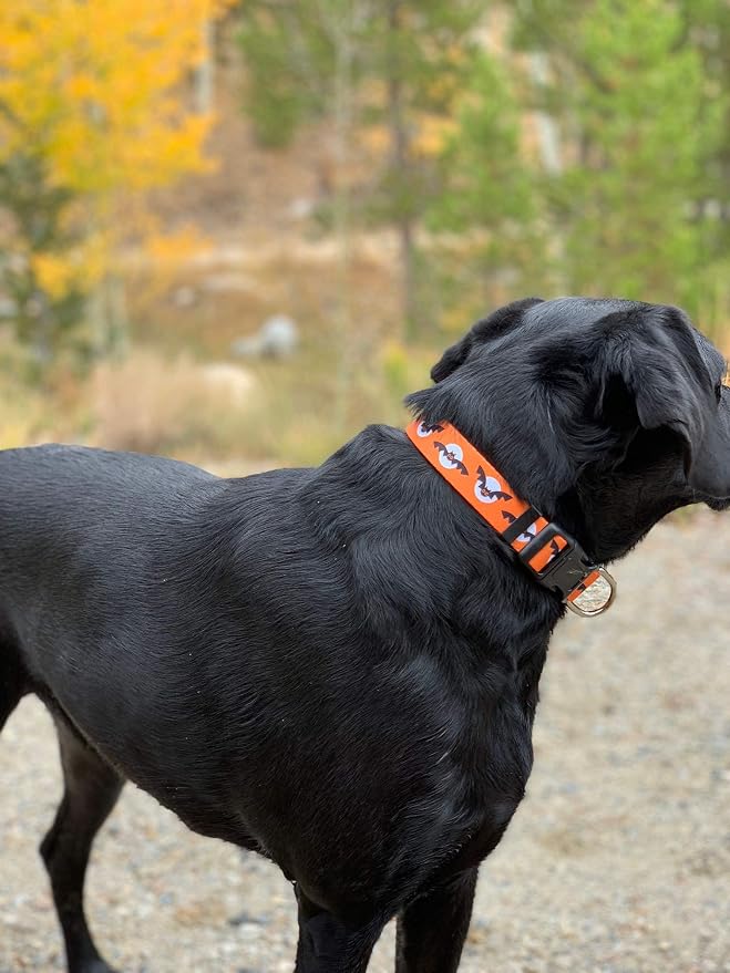 Native Pup Halloween Dog Collar- Spooky Fall Themed Horror Costume Collars- - Image 6