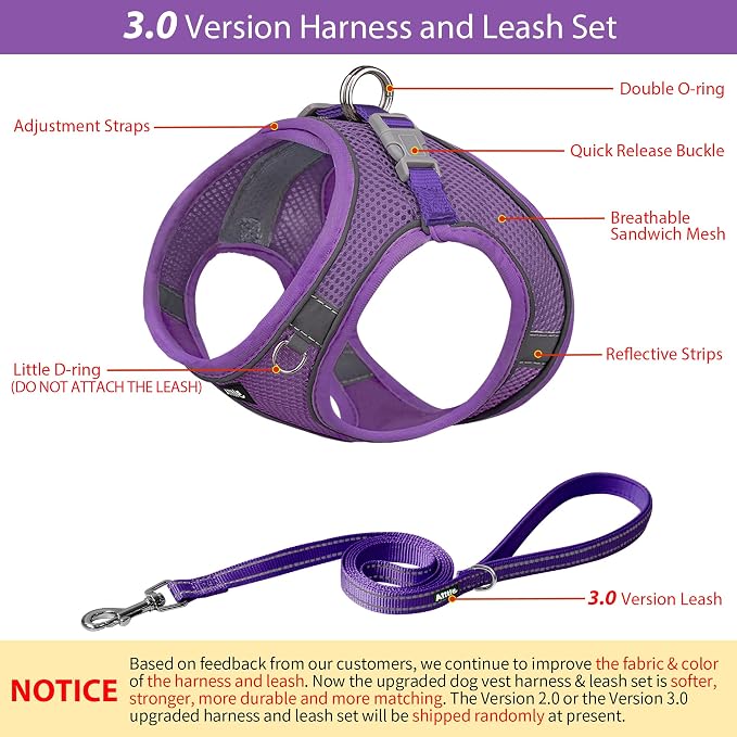 AIITLE Easy Walk Dog Harness and Leash Set - Image 2