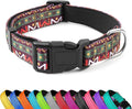 Reflective Dog Collar, Adjustable Soft Neoprene Padded Nylon Pet Collars by PWOD