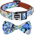 Faleela Cute Soft Girl Dog Collar by Faleela