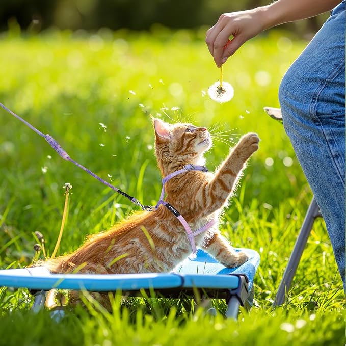 Cat Harness and Leash for Walking Escape Proof Adjustable Soft Harnesses and - Image 4