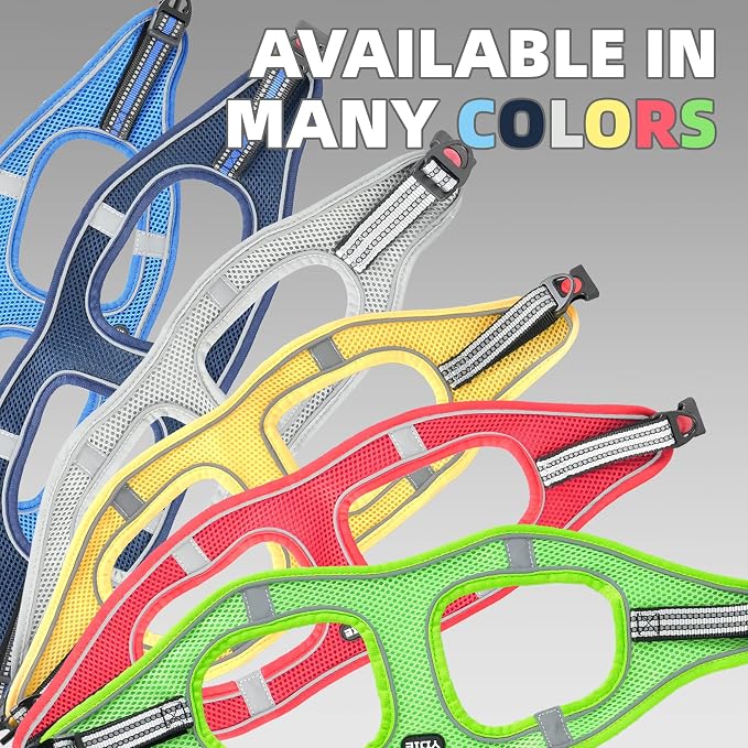 ROYPET Step-in Air Dog Harness, All Weather Mesh Step in Vest Harness - Image 5