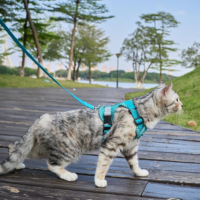 Cat Harness and Leash Escape Proof Large Kitten Harness Ragdoll Cat Vest - Image 3