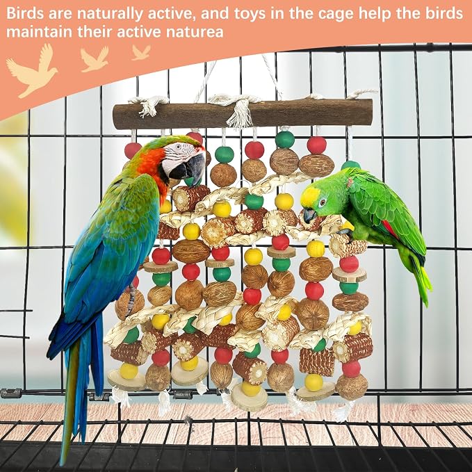 PINVNBY Large Parrot Toys Natural Nuts Corn Cob Wooden Chewing Tearing Toy - Image 4