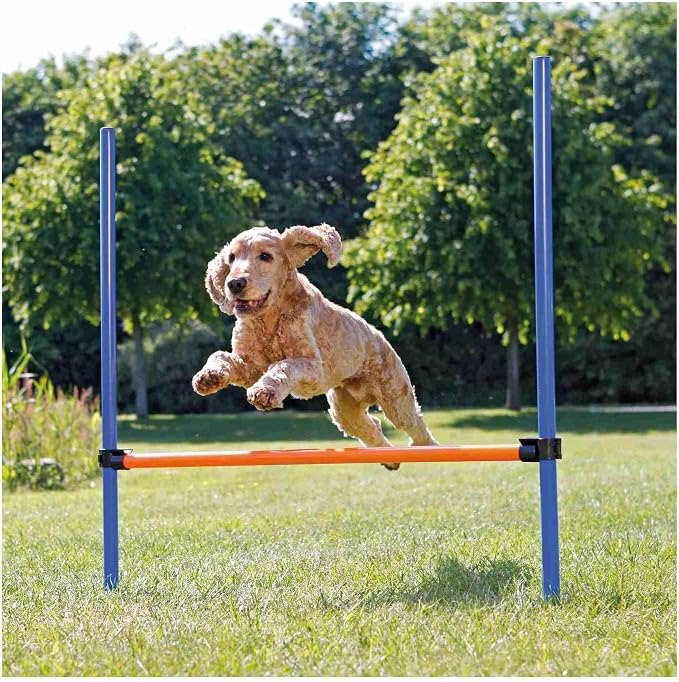 TRIXIE Agility Hurdle Adjustable Dog Jump, Dog Obstacle Course Equipment 1 x - Image 3