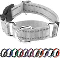 Hikiko Reflective Martingale Collar by Hikiko