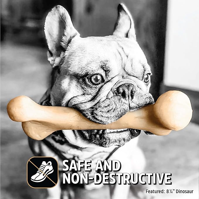 Pet Qwerks Dinosaur BarkBone - Image 7