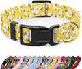 Reflective Dog Collar for Extra Small Dogs, Cute Flower Theme Adjustable by TMOODEL