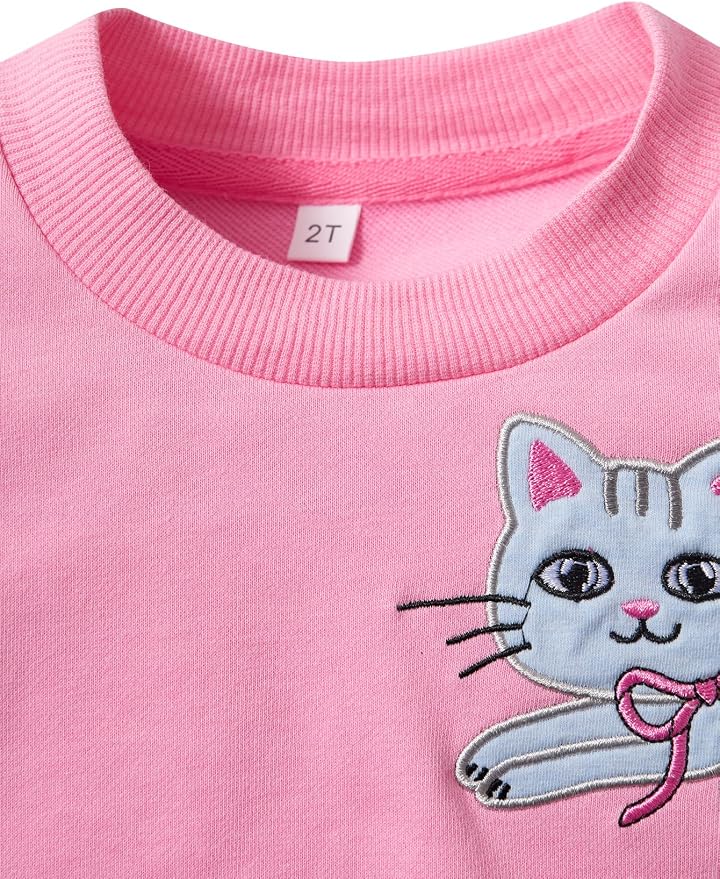 Toddler Baby Girls Cotton Sweater, Long Sleeve Crewneck Sweatshirt Pullover - Image 4