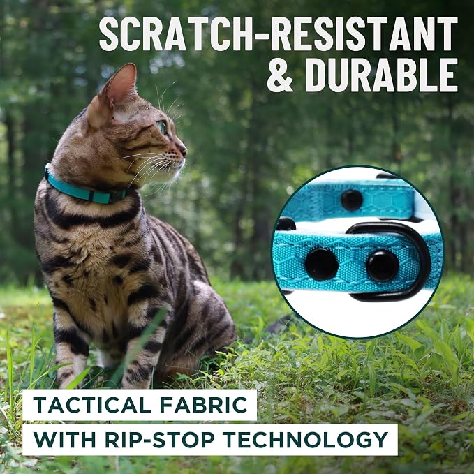 OutdoorBengal Pink Cat Collar Breakaway - Image 4