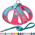 AIITLE Escape Proof Dog Harness by AIITLE-FORPETSBETTERLIFE