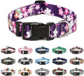 Mercano Adjustable Dog Collar by Unknown
