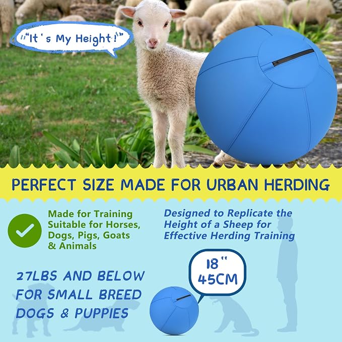 Herding Ball for Dogs and Horses - Image 2