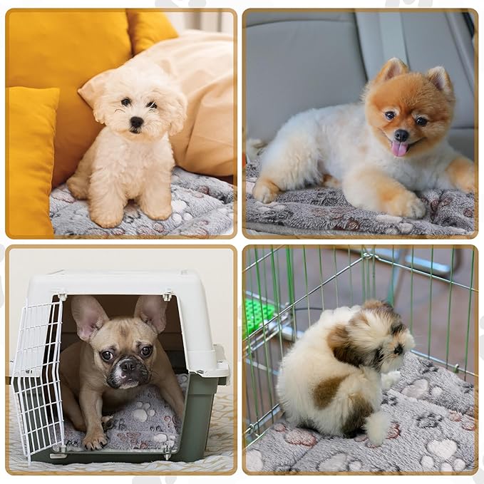 Tuanse 4 Pack Ultra Soft Dog Cat Bed Mat Small Animal Guinea Pig Bed - Image 5