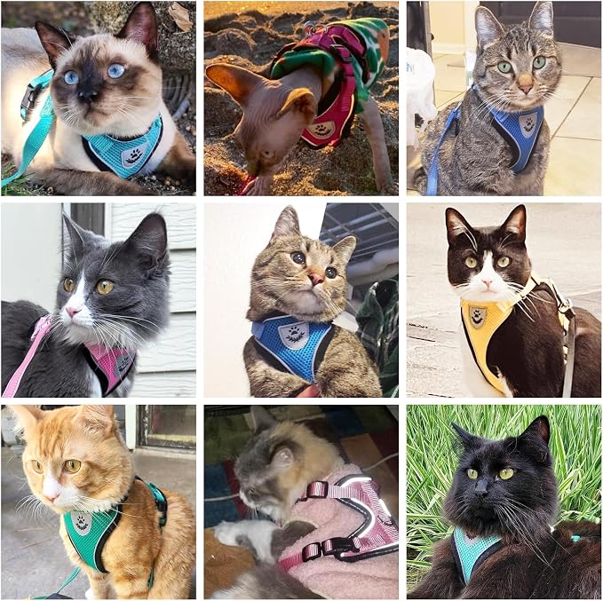 PUPTECK Cat Harness and Leash Set Escape Proof Reflective Cat Walking Harness - Image 7