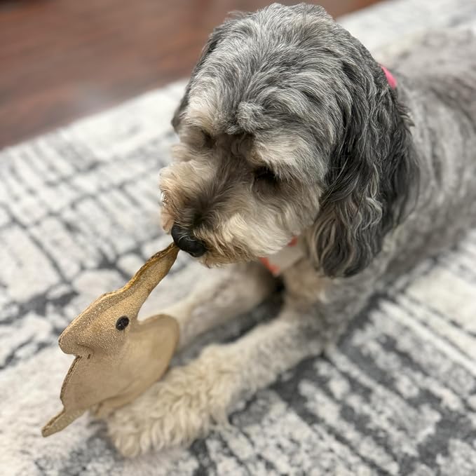 SPOT Dura-Fused Leather Rabbit Dog Toy – Durable Real Leather & Jute Chew Toy - Image 5