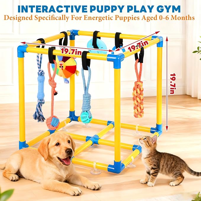 Puppy Play Gym for Small Dogs - Image 4