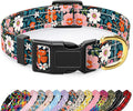 Reflective Dog Collar for Medium Dogs, Cute Flower Theme Adjustable Heavy-Duty by TMOODEL