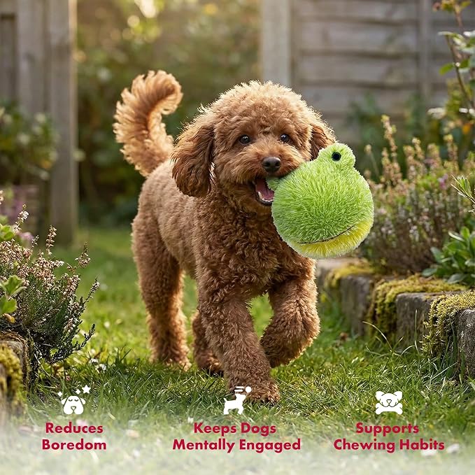Pet Lou DOG'Z 4 Inch EZ Squeaky Frog Dog Plush Toy, Stuffing-Free Soft Plush Toy - Image 4