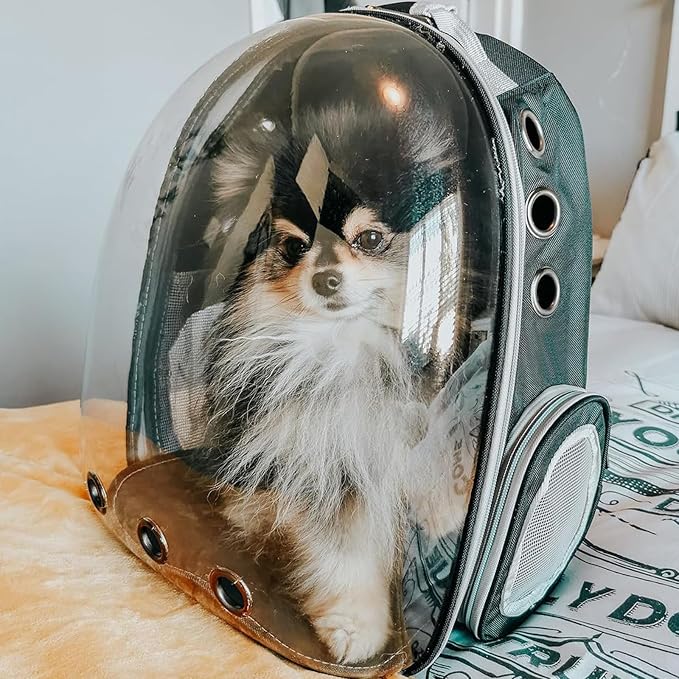 Cat Backpack Carrier, Back Expandable Pet Backpack - Image 9