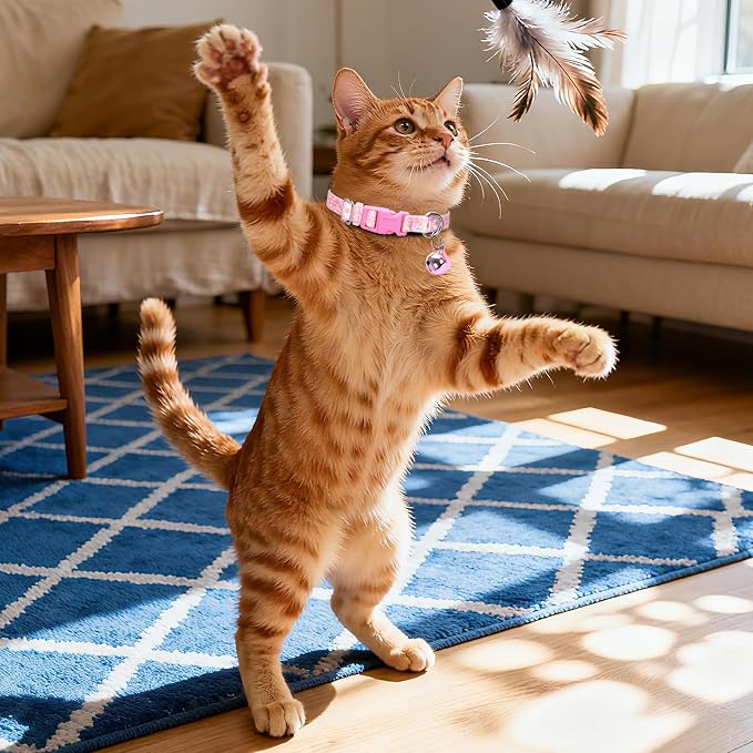 Pink Small Dog Collar with Bell -Nylon Collar - Image 4